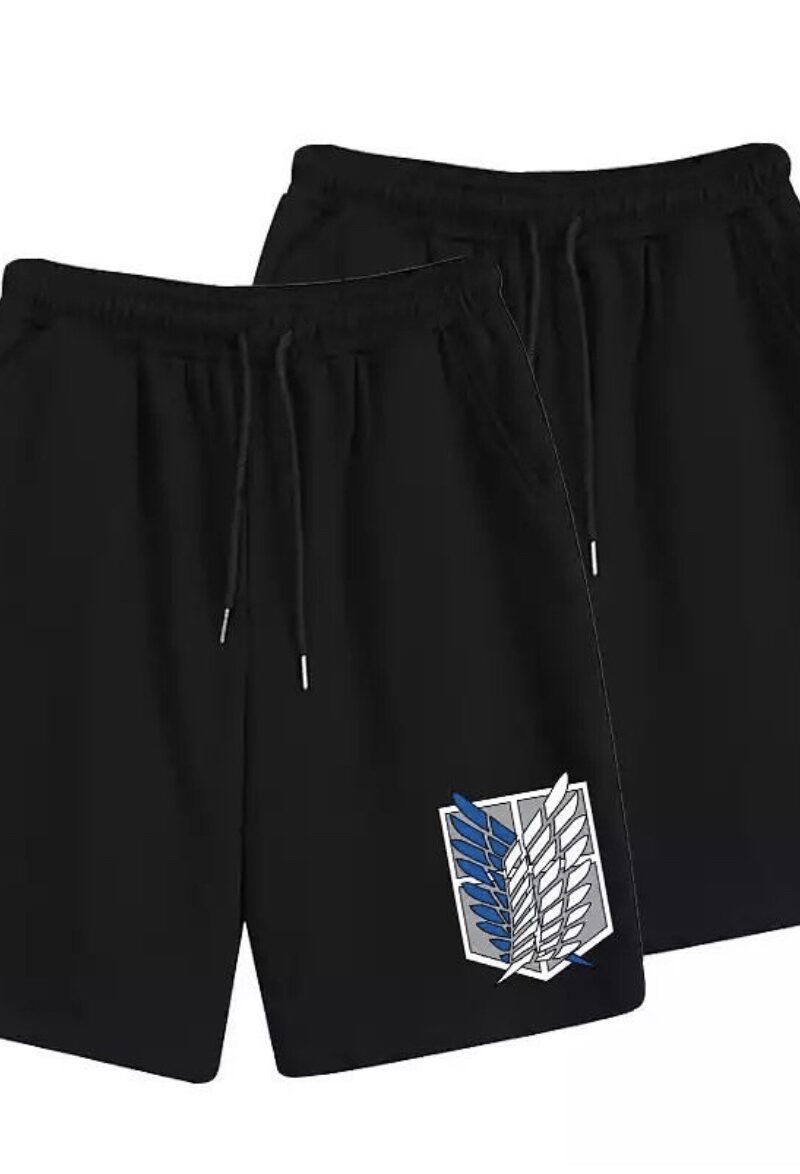 AOT Shorts